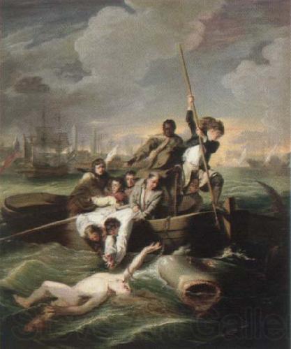 John Singleton Copley watson and the shark Norge oil painting art